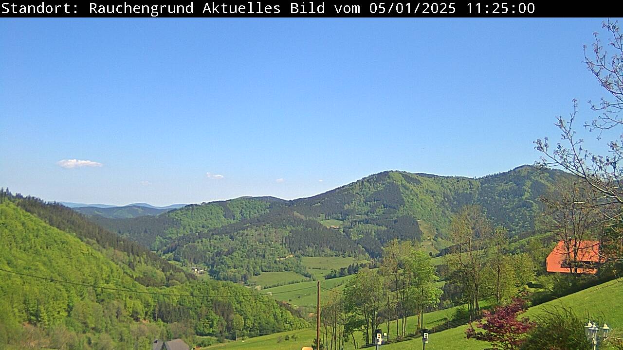 Webcam Elzach-Yach (678 m)